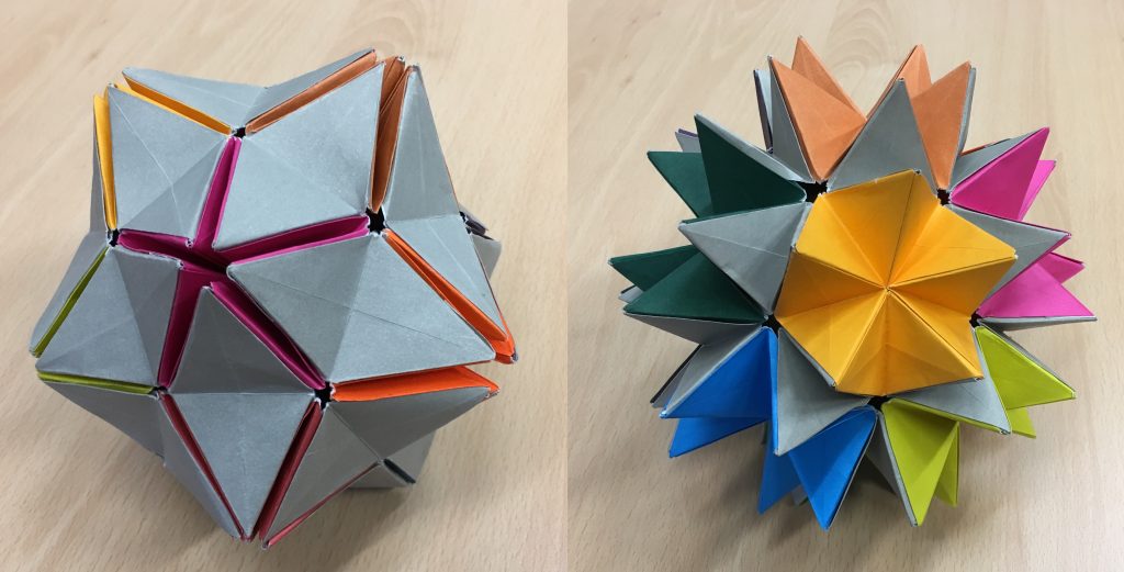 Modular origami – Polypompholyx